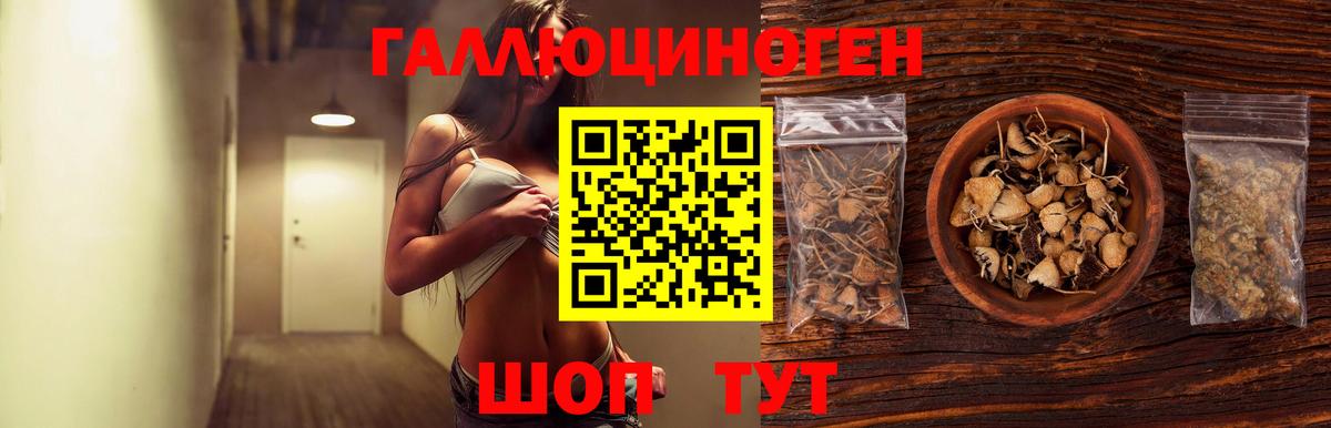 Самара  Псилоцибиновые грибы GOLDEN TEACHER  Вход с VPN 